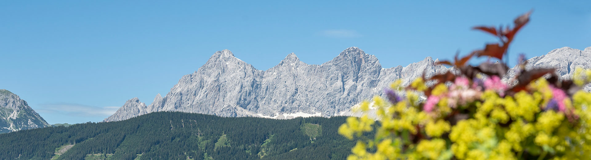 Ausblick - Appartements & Chalets in Pichl-Schladming